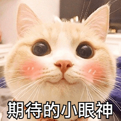 |恋恋剧场5部高甜新剧来袭，你最期待哪个？