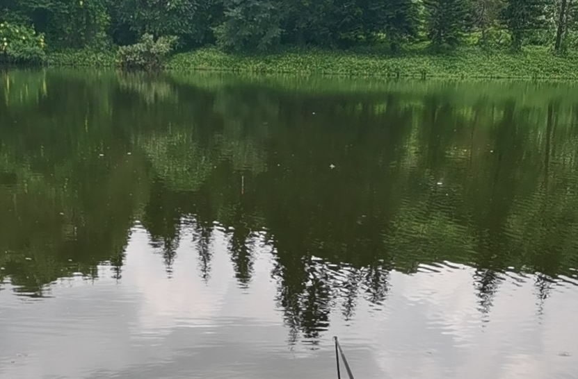 |钓鱼不打窝, 钓到也不多, 王者之战复赛可以全程打窝, 你还不打窝料?