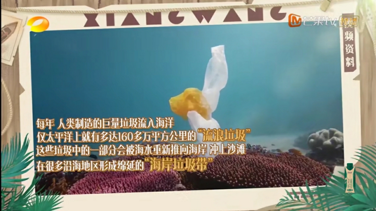 向往的生活|《向往的生活》第六季首播，关键绩效指标竟是捕鲨鱼，信息板尽显节目组求生欲！