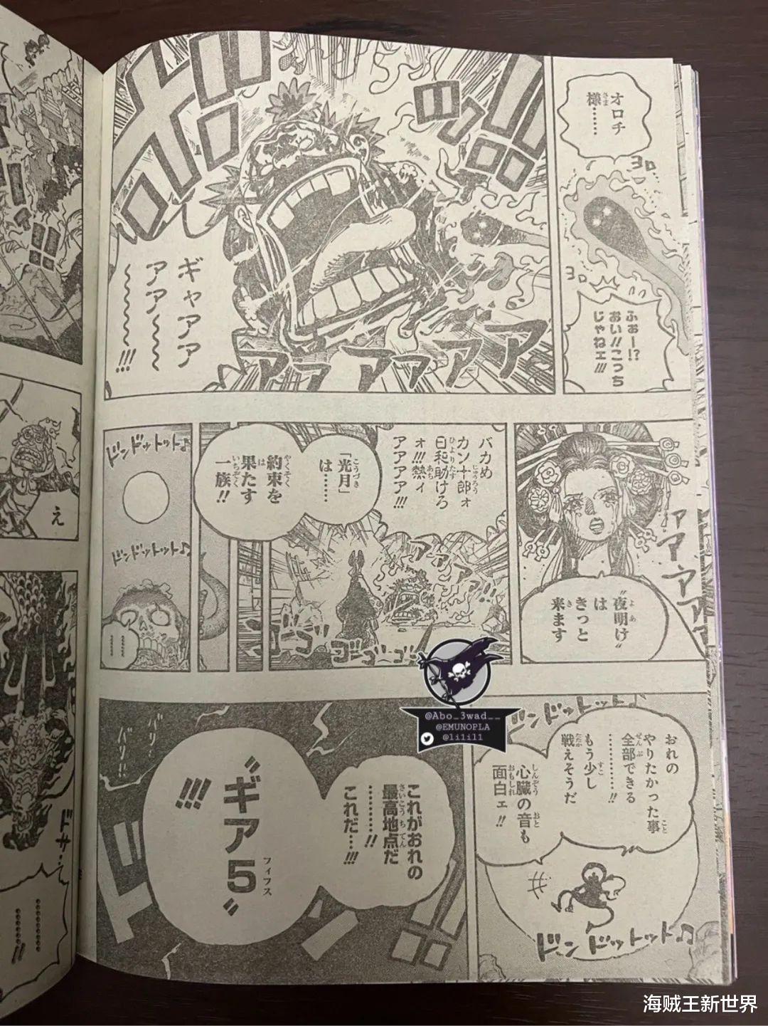 海贼王|海贼王1044话第二次情报更新|全图整理|觉醒的五档！橡胶果实是动物系人人果实幻兽种你能否接受？