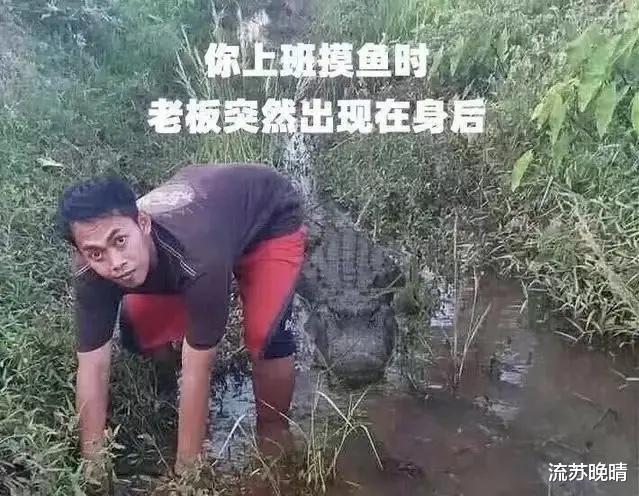 我以前总觉得员工养鱼真该死。