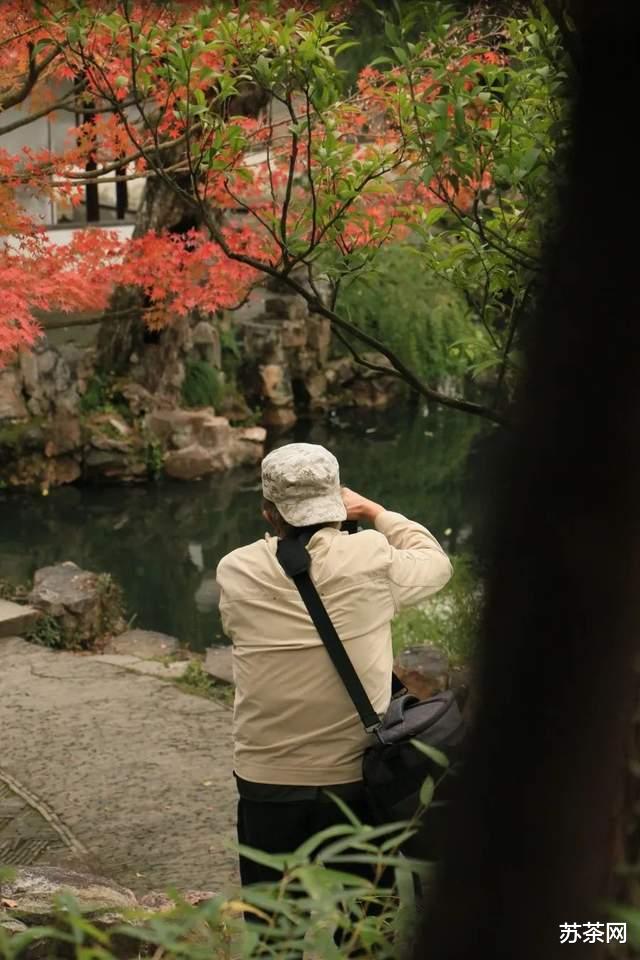 乡村旅游|这些园林，承包了苏州秋冬一半的美
