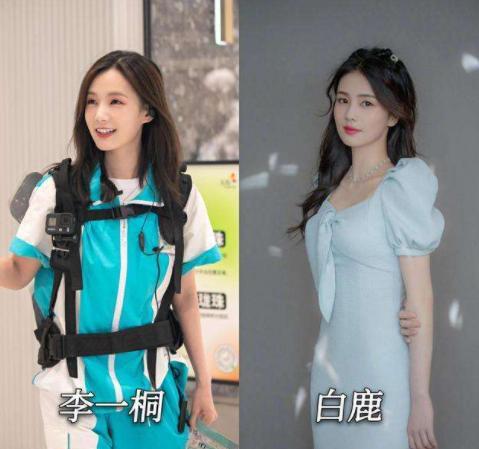 撞脸|5对“撞脸”的女明星，同一张脸不可怕，谁不红谁尴尬