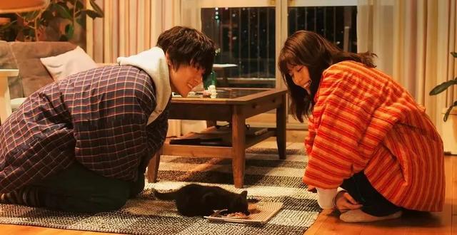 武清|相亲无意义后,日本开始流行带着宠物相亲,效果拔群