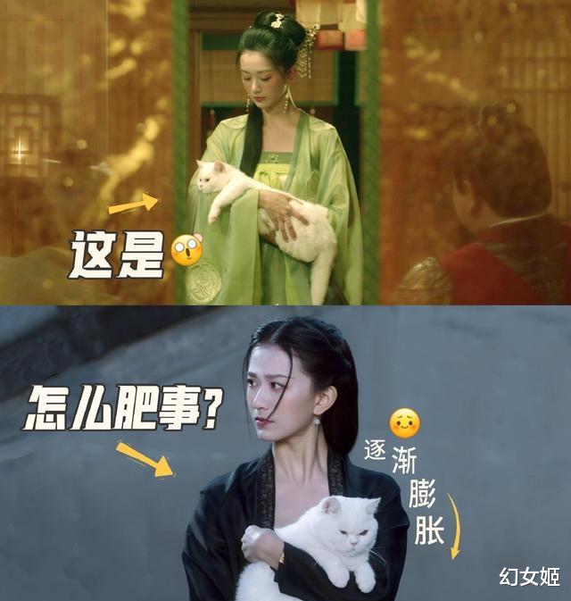 鱼幼薇|《梦华录》高慧:学导演却做了演员,还是《雪中》的花魁鱼幼薇