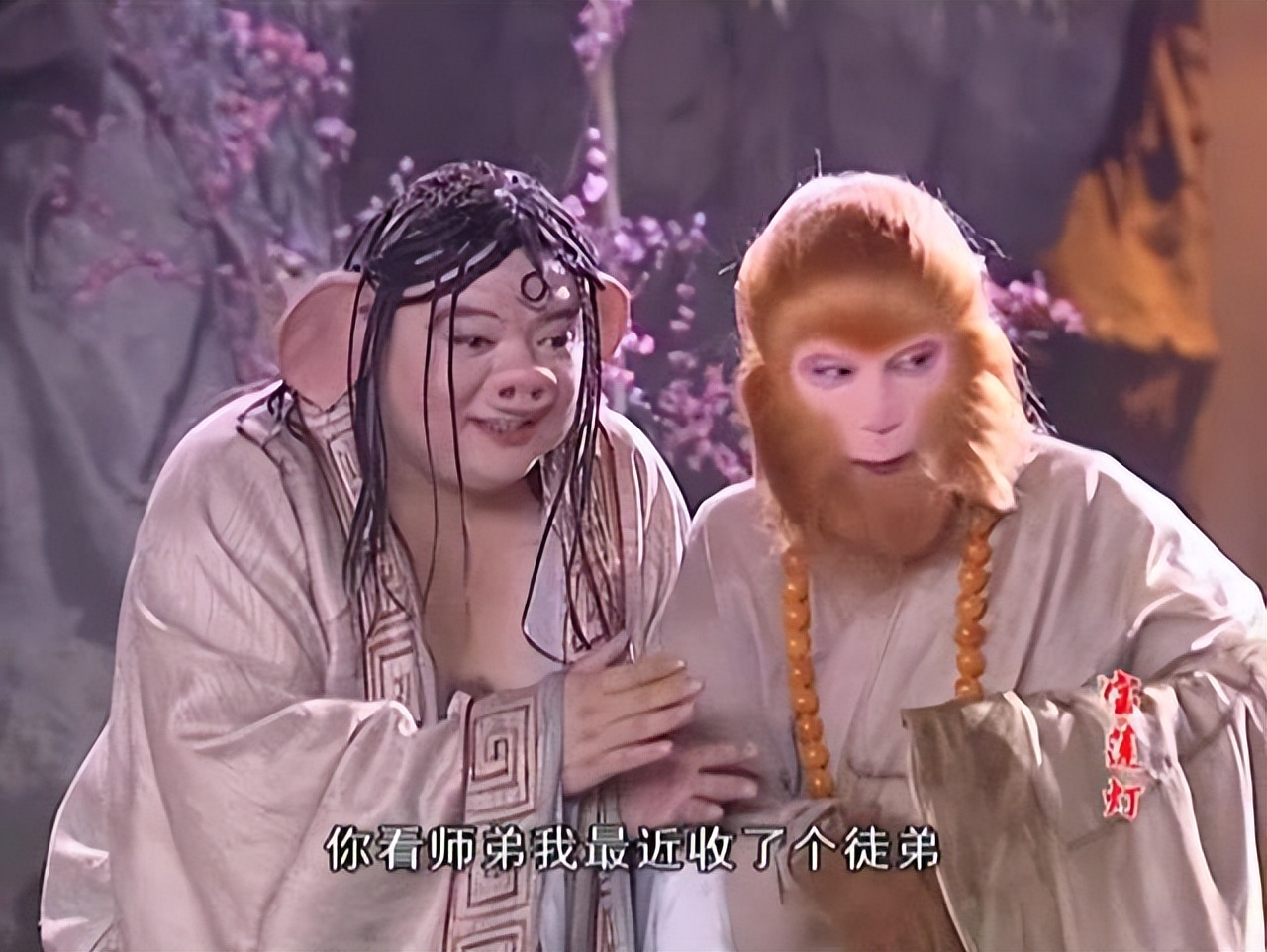 谢宁|49岁知名男星定居河北！身体圆润头发全无，摆摊卖菜谋生接地气