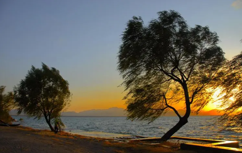 梦华录|【科普】虚拟现实分类，你知道多少？