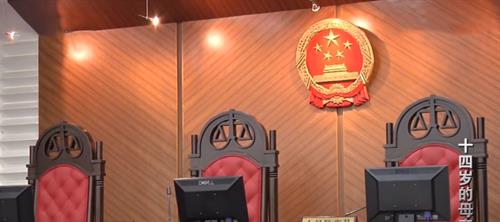 回顾 13岁女孩失踪1年喜当妈,父母接受女婿,不料给全家带来灾难