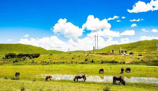 四川省|6月开始，四川这两个地方美成“天堂”，随便一拍就是屏保画面