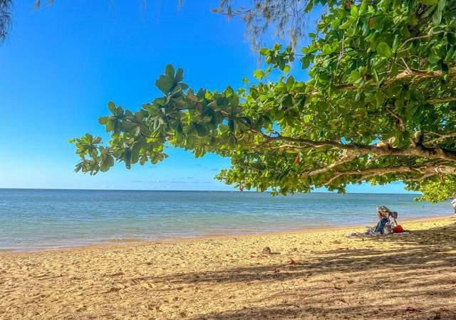 漂流|美国夏威夷,皮划艇雨林探险,听流水叮咛,看山林飞瀑,解暑