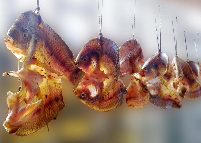 蔬菜|鱼肉是癌细胞的“发物”吗?医生:不想病情恶化,6物建议少吃点