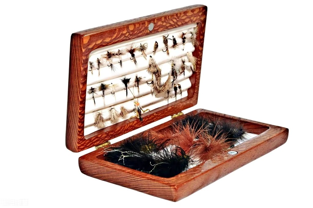 苍蝇携带大量细菌,是最被人类嫌弃的物种之一