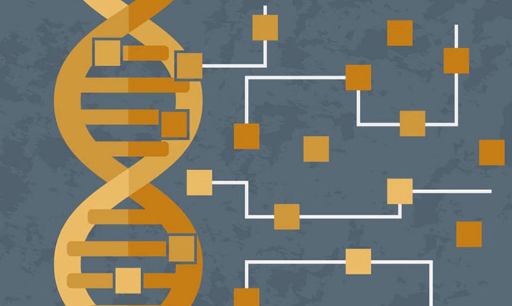 芯片|国内自研猪芯片量产，有何意义？