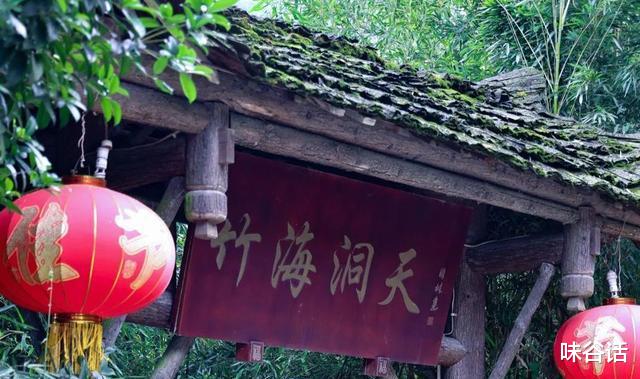 东营|从成都市区出发，1小时直达千亩竹海，景美人少知道的人不多