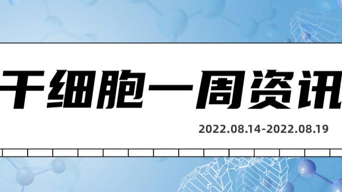 干细胞一周资讯（08.14-08.19）