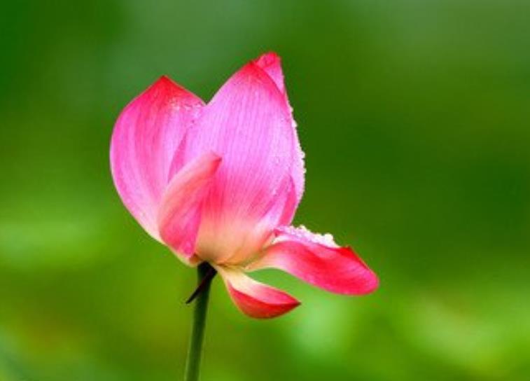 |五十岁之后,需要学会“悔悟”了