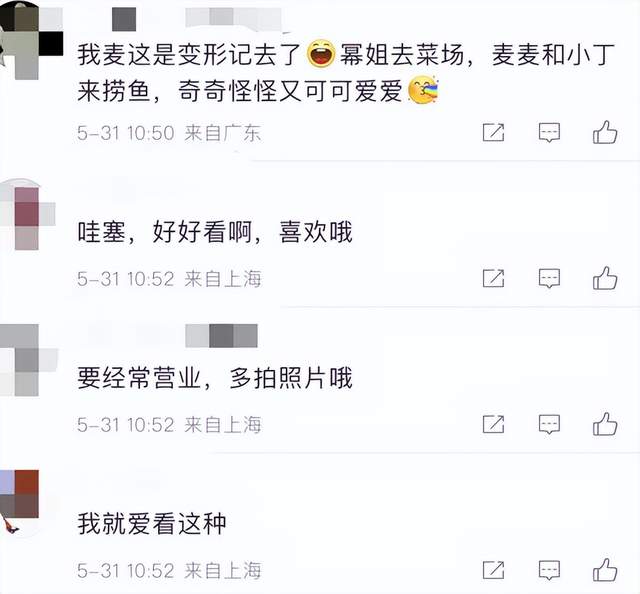 赵今麦|赵今麦下河抓鱼不怕脏!手拿网兜动作熟练,穿超短裤秀白嫩细腿