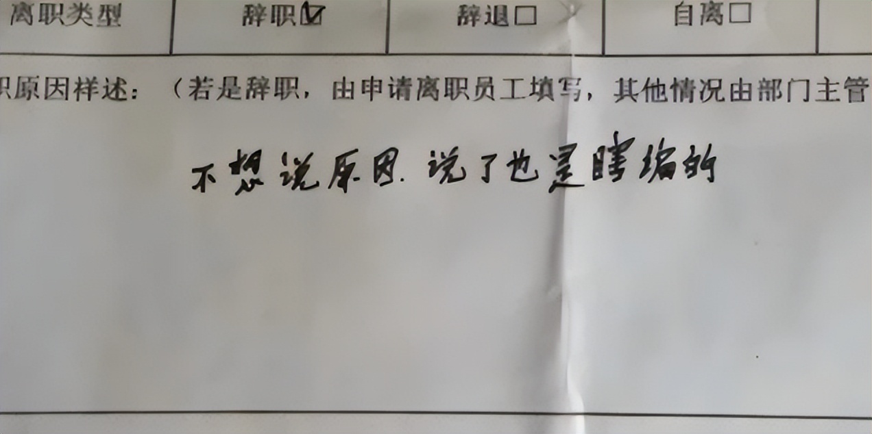 00后|00后毕业生“低情商”辞职信走红,理由编都不编,场面话能省就省