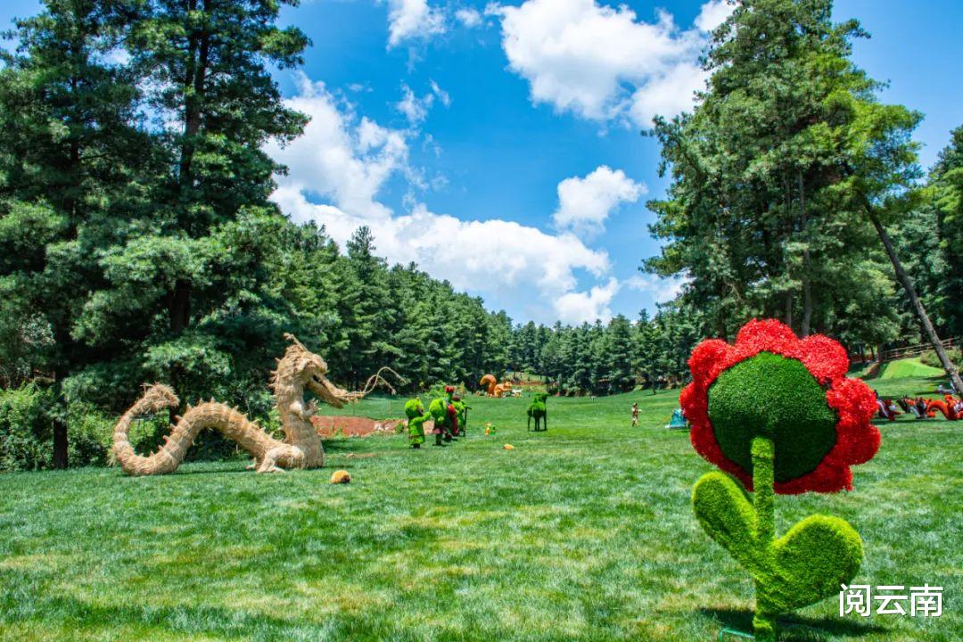 携程|昆明周边露营地盘点:森林草甸、高山牧场、热浪沙滩,不愁没去处