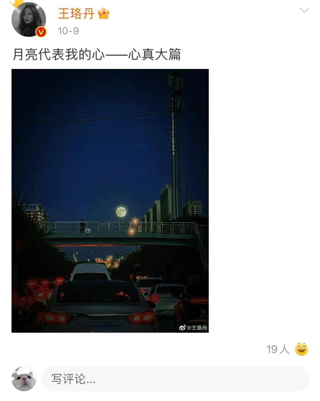 王珞丹|白姐都杀疯了，王珞丹怎么还在岁月静好？