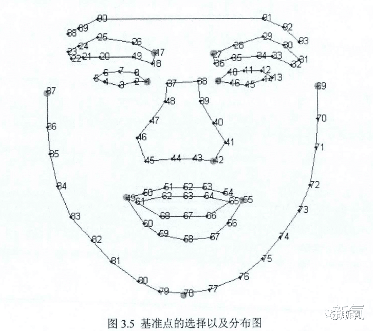 |杨幂录节目受伤？五官位置里权值第一的是？