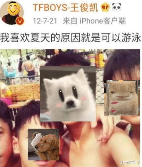 许知远|王心凌组突然被骂上热搜，到底谁是综艺刺客？