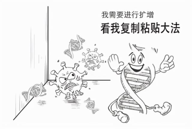 一份核酸检测报告的前世今生,你的核酸检测报告是这样来的
