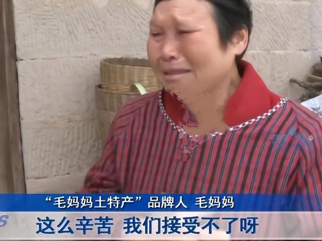 九江|职业打假人，就是披着打假外衣的职业“诉棍”