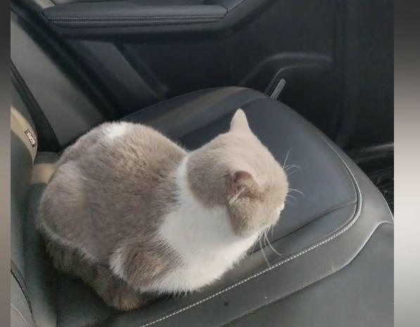 当你拼车的时候座位比较挤怎么办？