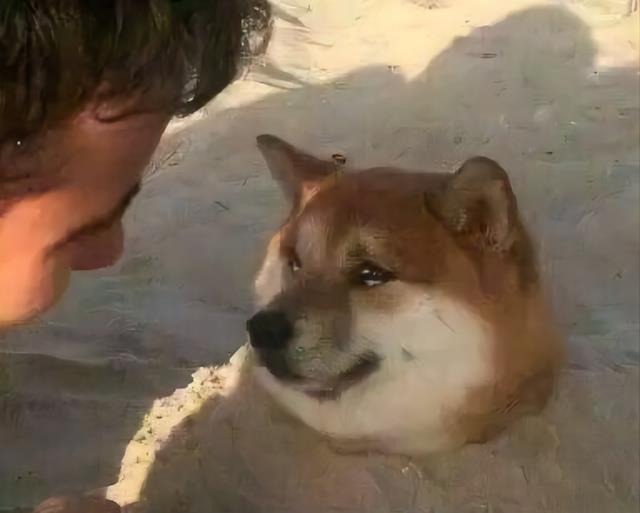 知乎|知乎10万高赞:“月薪2万,单休,每天工作12小时,你愿意吗?”