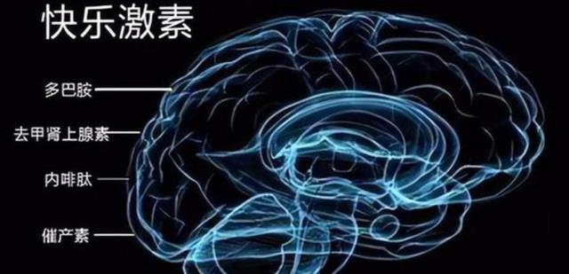 动物不知道生殖繁衍的秘密,却有两性生殖行为,谁在操纵这一切?