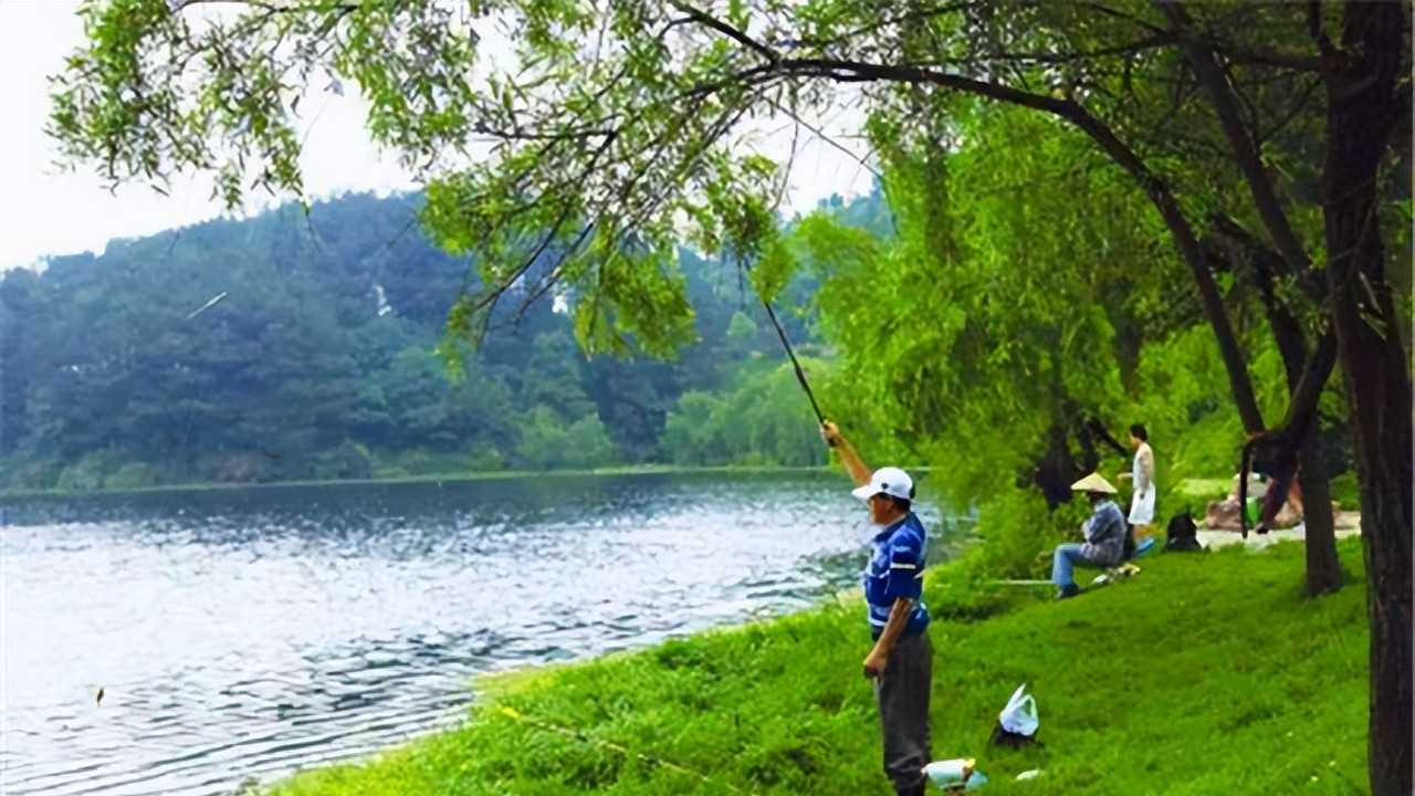 空军|这三种昆虫作饵是钓鱼利器，效果远超普通饵料，但要注意两点