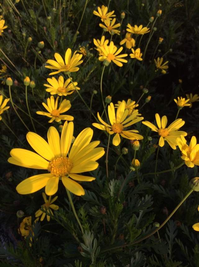 空腹 空腹吃什么减肥