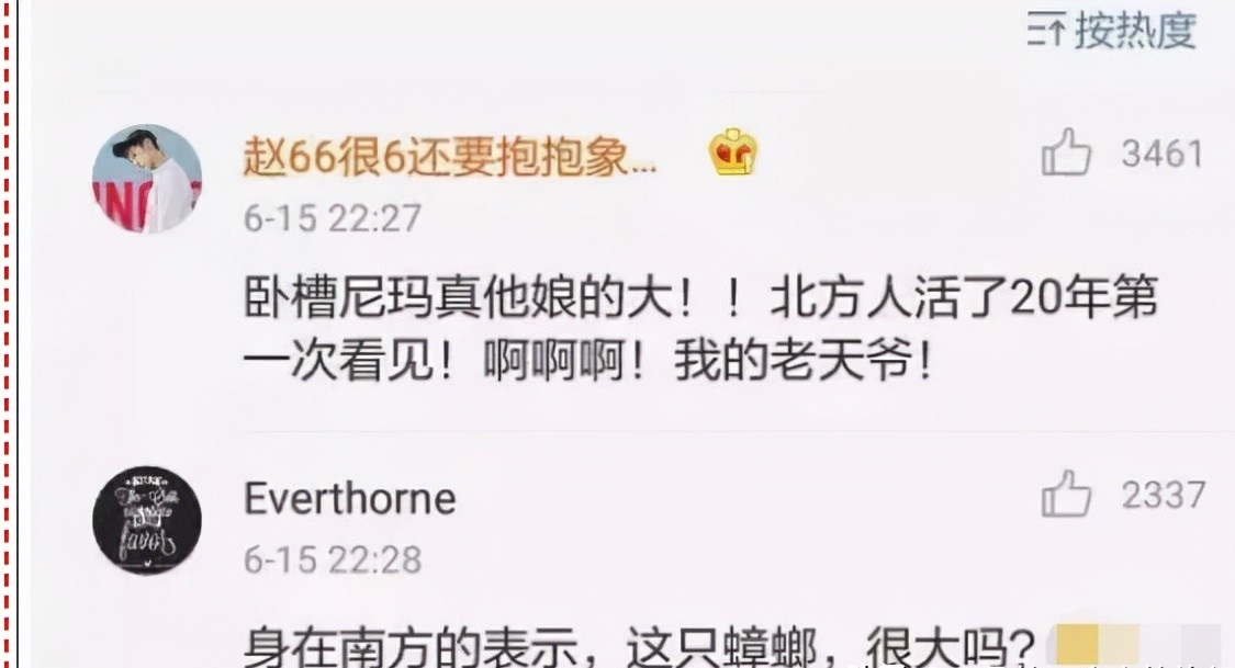 笑翻!广州又一大楼酷似蟑螂,吓坏北方网友:这得要多大的拖鞋
