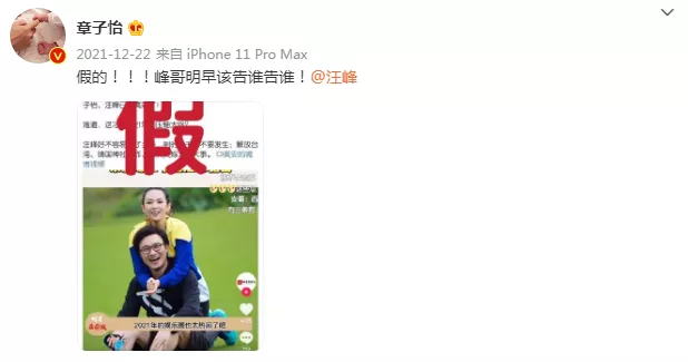 章子怡|娱乐圈最甜半路夫妻也离婚了？不存在的，他们比谁都恩爱！