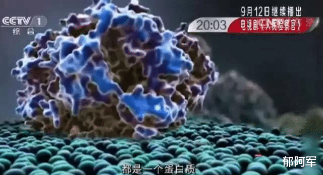 颜宁回国表明:她是一个纯粹的科学家,世俗功利观对她不适用!
