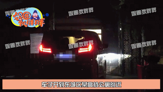 汪峰|董卿“消失”半年首露面，打扮休闲头发没修剪，仍旧有司机有豪宅