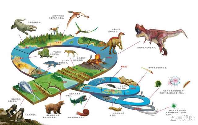人类的进化史并不完整,缺失了13万年,这期间发生了什么?