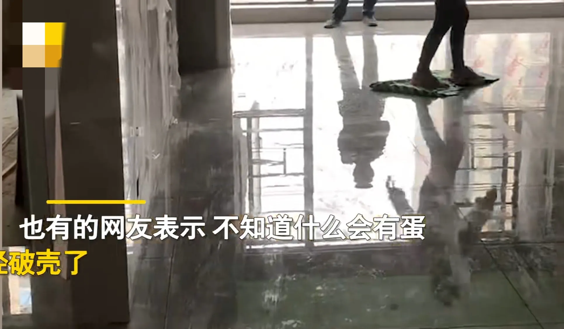 湖南永州,一女子在家里扫地,不料,清理墙角时惊现一个窟窿,里面长出了一堆“白蘑菇”