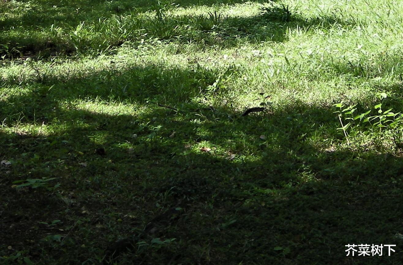 考研|拿着鸡毛当令箭？随你便