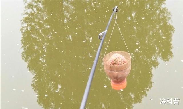 |夏季钓鱼如何做窝?打窝注意这5点,以免诱鱼变“喂鱼”