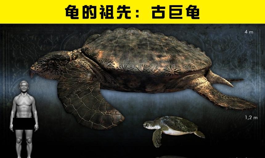 7种现代动物与史前祖先的大对比