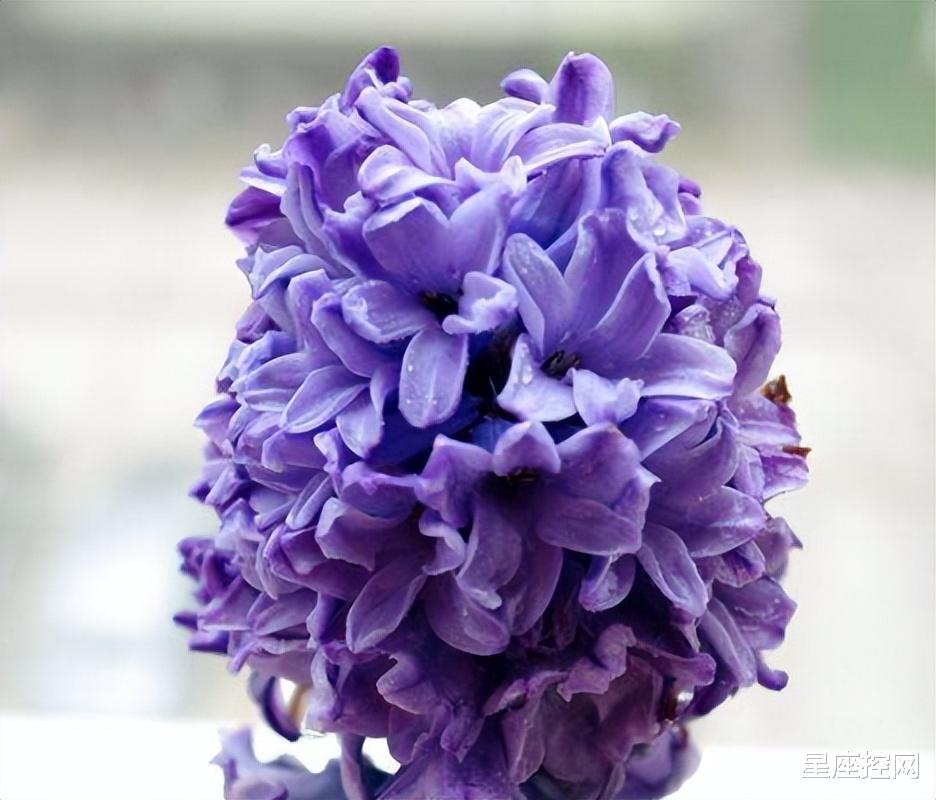 |啥日子出生的人,低谷期多努力,改变命运迎接人生红利,福气深厚