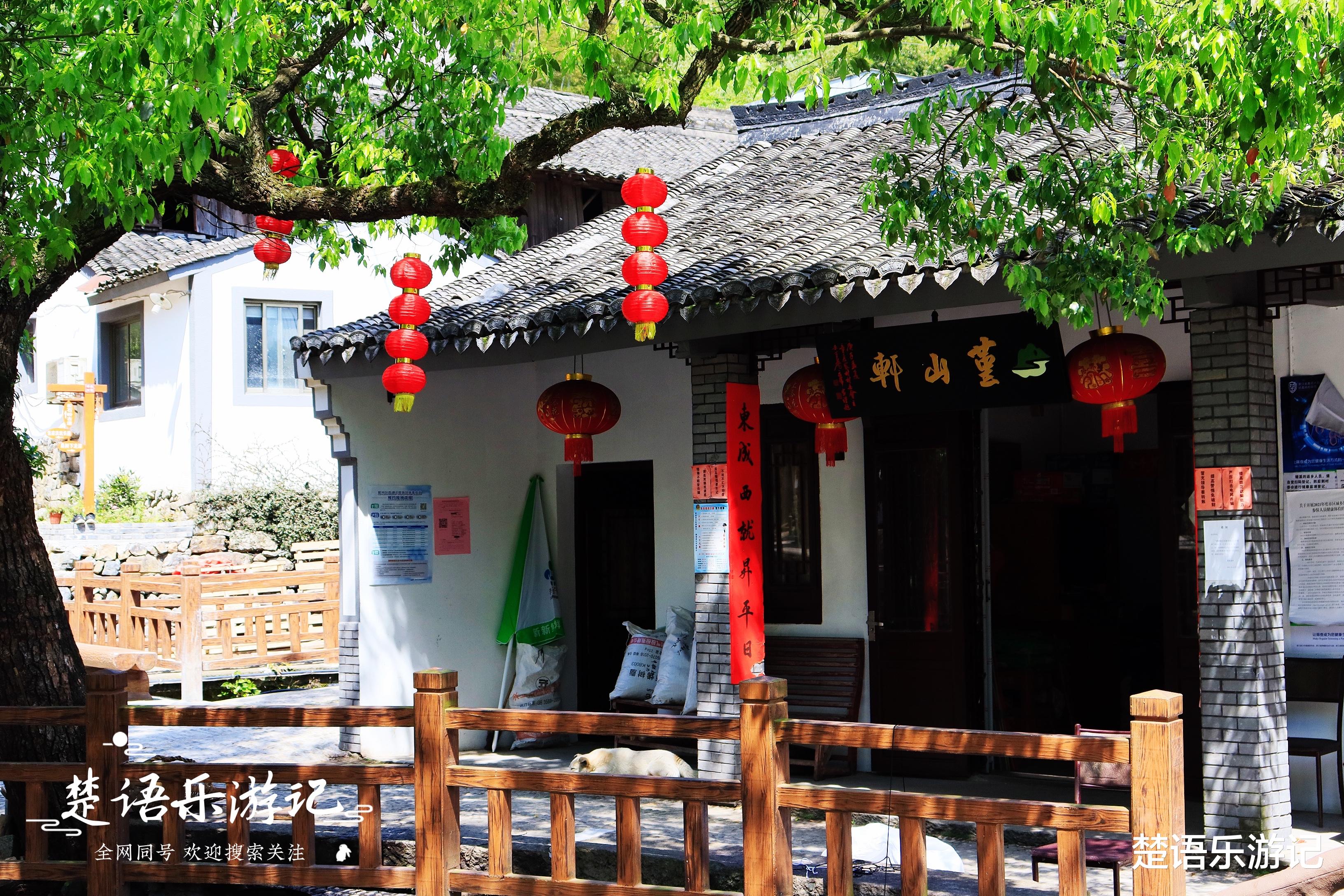 香格里拉|浙江这个小山村背山临溪，被誉为“香格里拉”，原来是玩水胜地
