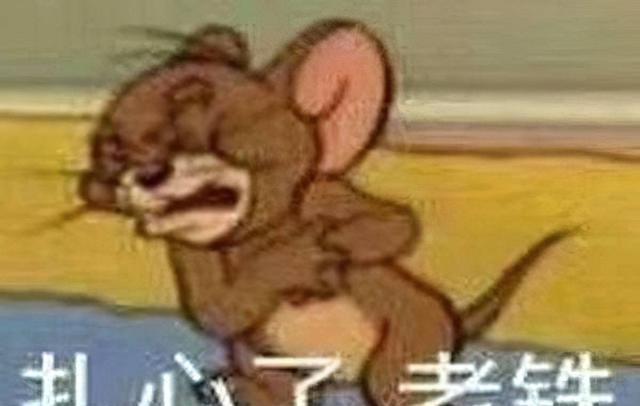 |35岁八零后,从程序员变外卖员:“生活压力,快把我压死了”