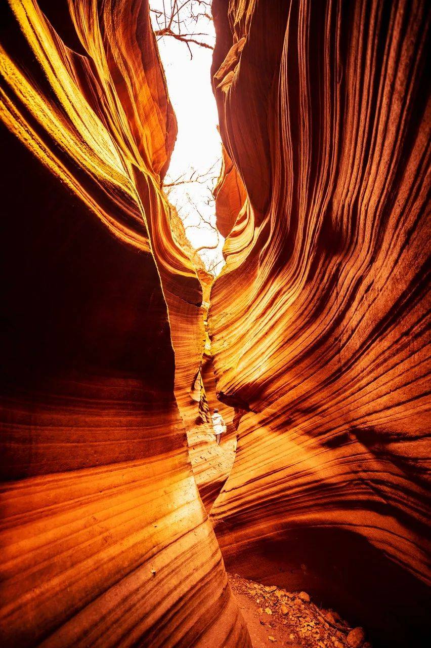 水果|水果第一大省竟然是它?夏天水果论筐吃,太想去了!