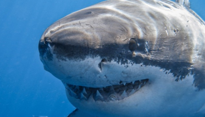 |上班懂得偷懒的人，如何用最少的力气更快的升职加薪？