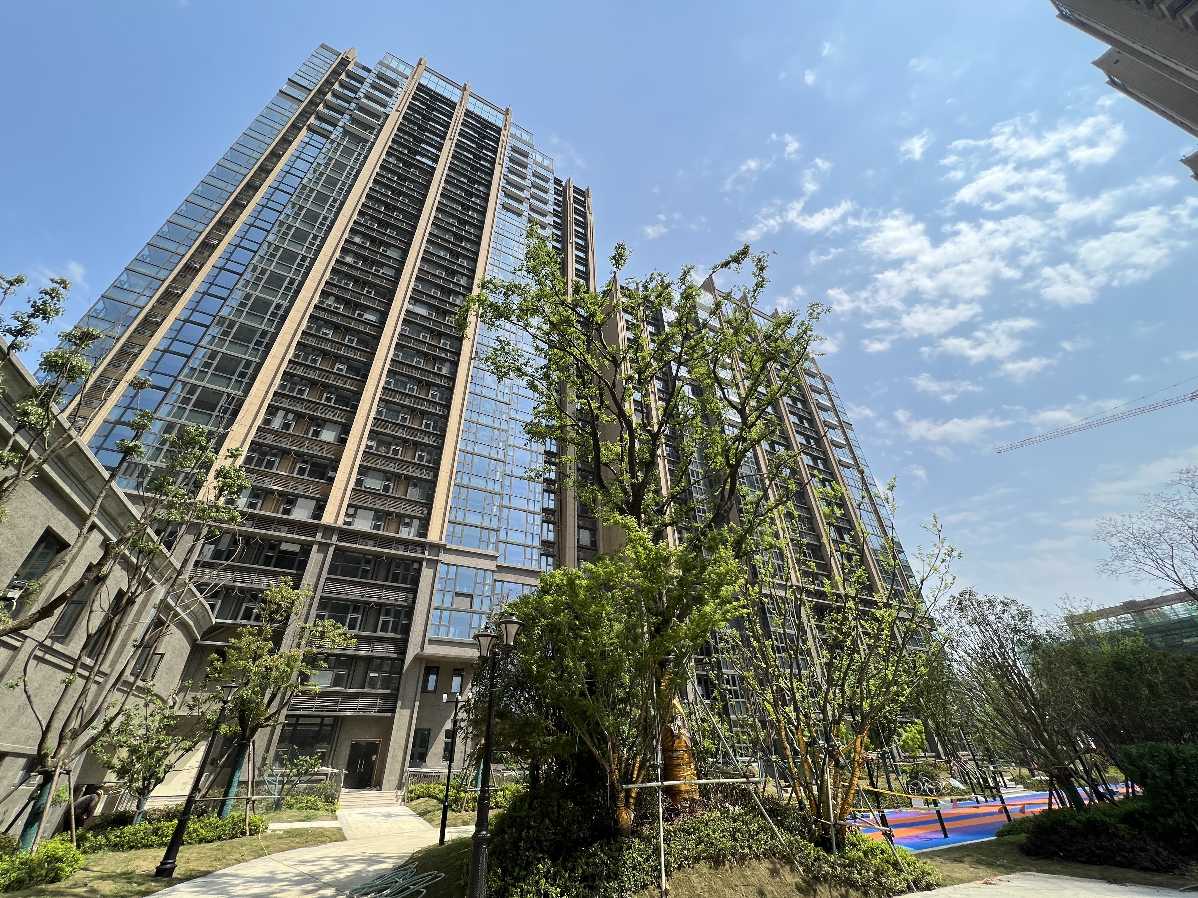 有空多在小区里走一走,随手都是屏保美图