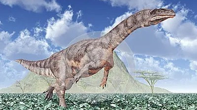 动物趣闻：牙齿呈现树叶状态的板龙