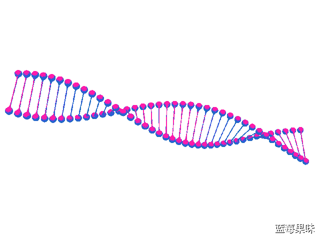为什么蝙蝠那么“毒”?科学家:可能是为了飞行做出的主动选择